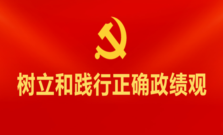OK钱包党总支召开树立和践行正确政绩观学习教育读书班总结会